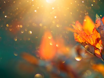 Magazine Viva Protect 5