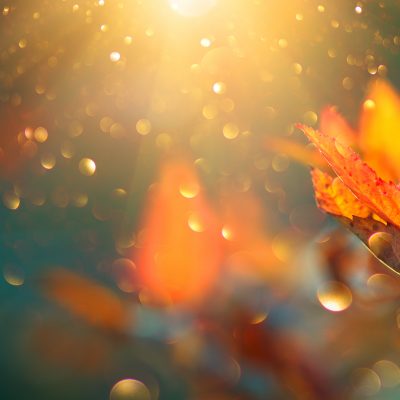 Magazine Viva Protect 5