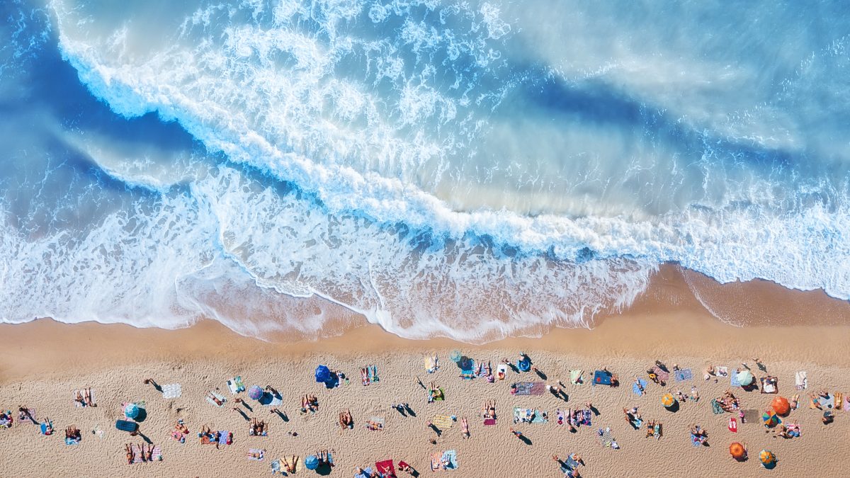 Edito magazine viva protect 4