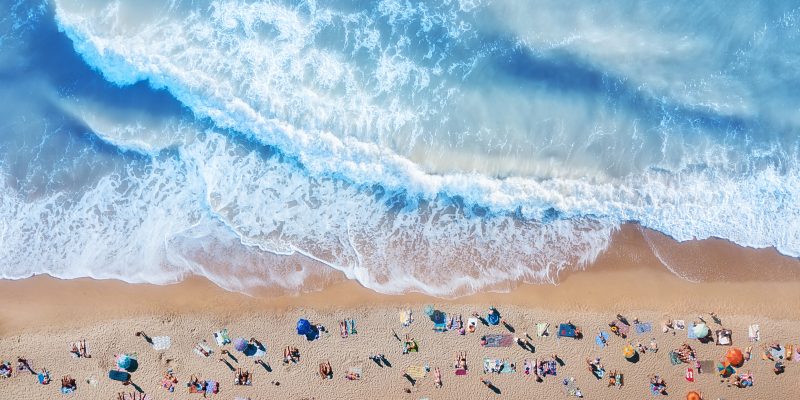 Edito magazine viva protect 4