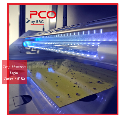 BRC PCO TM Light