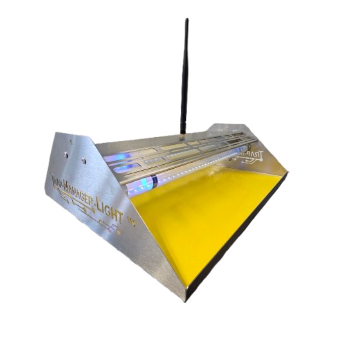BRC TM Light